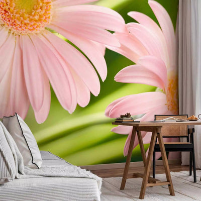 Wall Murals Leisure corner - two pink gerberas, 60679 g -art