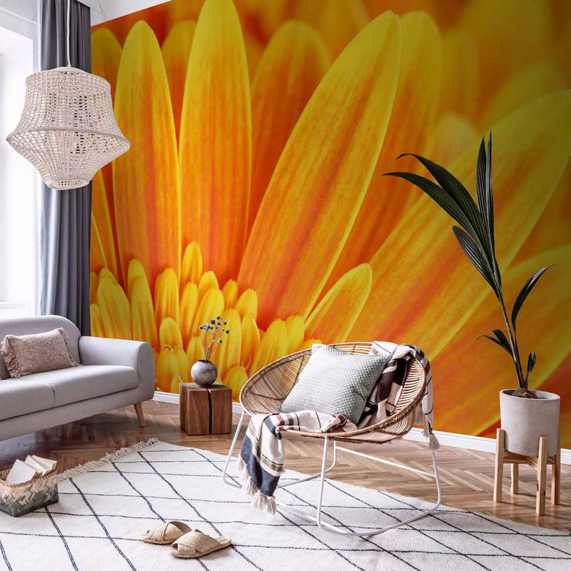 Wall Murals - Design in the interior: flowering yellow gerber, 60681 G-art