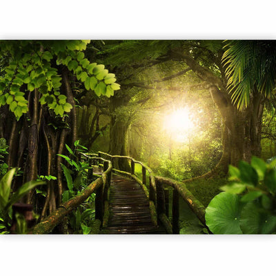 Fototapetes - zaļa ainava ar tropu mežu un tiltu pret sauli, 92631 G-ART