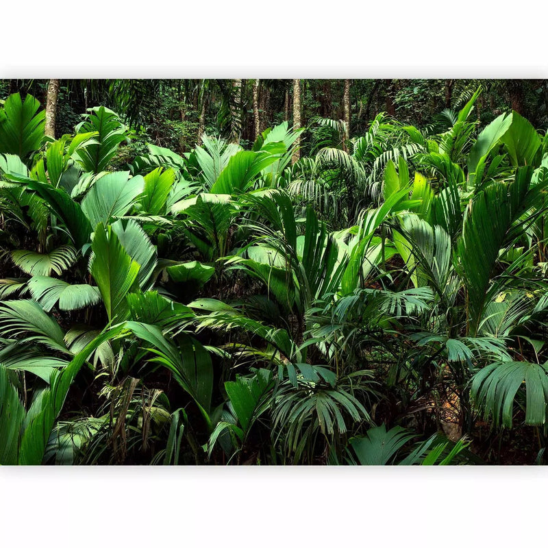 Wall Murals - Exotic Jungle - Wild Forest Landscape with Ferns G-ART