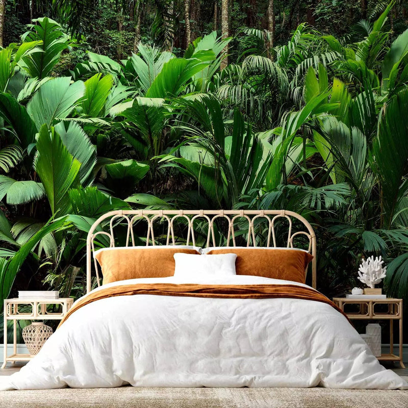 Wall Murals - Exotic Jungle - Wild Forest Landscape with Ferns G-ART