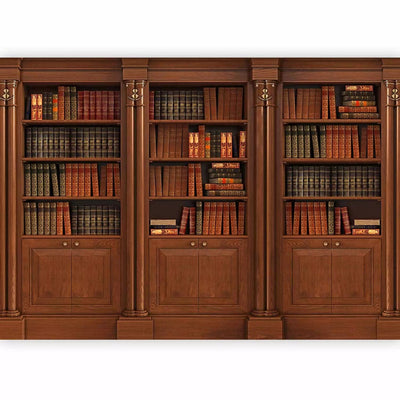 Photo wallpapers with bookcases in brown tones G-ART