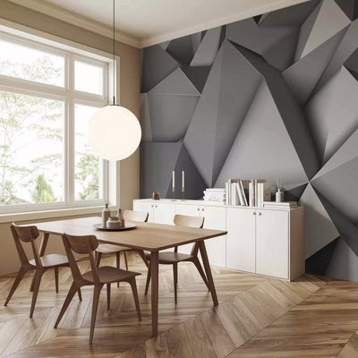 Wall Murals - futuristic gray abstraction with 3D illusion, 60089 g-art