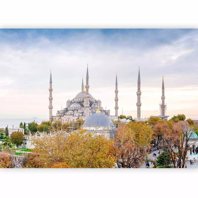 Wall Murals With Istanbul's views and Hagia Sophia, 96684 G-Art