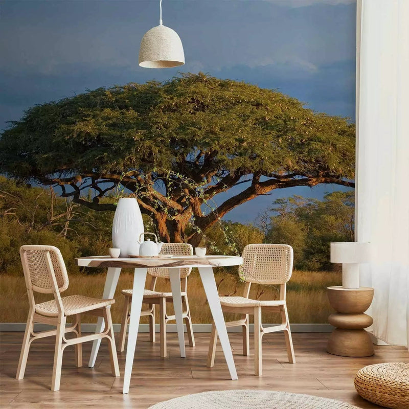 Wall Murals with Hwange National Park and the Lonely Tree - price G-ART