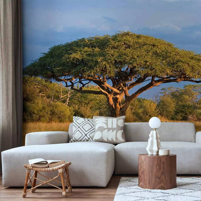 Wall Murals with Hwange National Park and the Lonely Tree - price G-ART