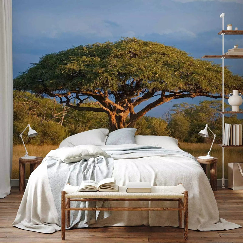 Wall Murals with Hwange National Park and the Lonely Tree - price G-ART