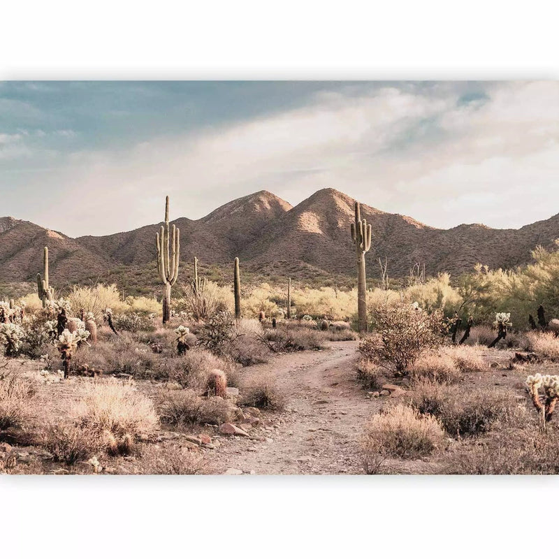 Wall Murals - Mountainous desert, 160098 - large outing from the catalogue G-ART