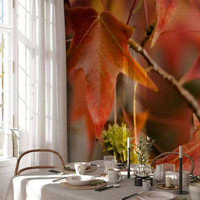 Wall Murals with beautiful red chestnut leaves, 60427 G-ART