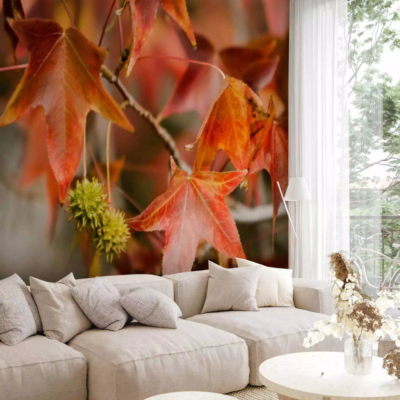 Wall Murals with beautiful red chestnut leaves, 60427 G-ART