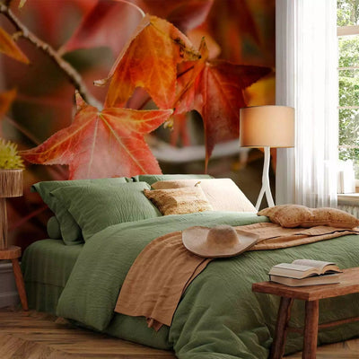 Wall Murals with beautiful red chestnut leaves, 60427 G-ART