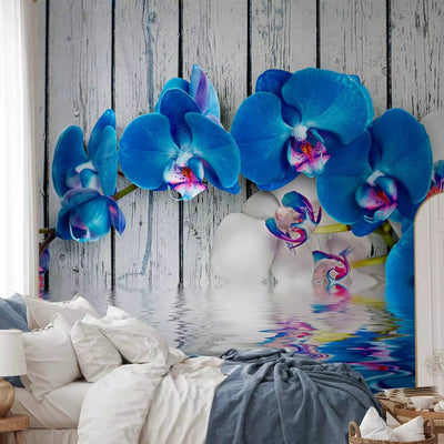 Wall Murals