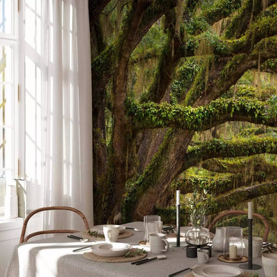 Wall Murals with nature - tree embrace, 60395g -art