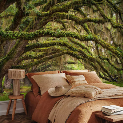 Wall Murals with nature - tree embrace, 60395g -art