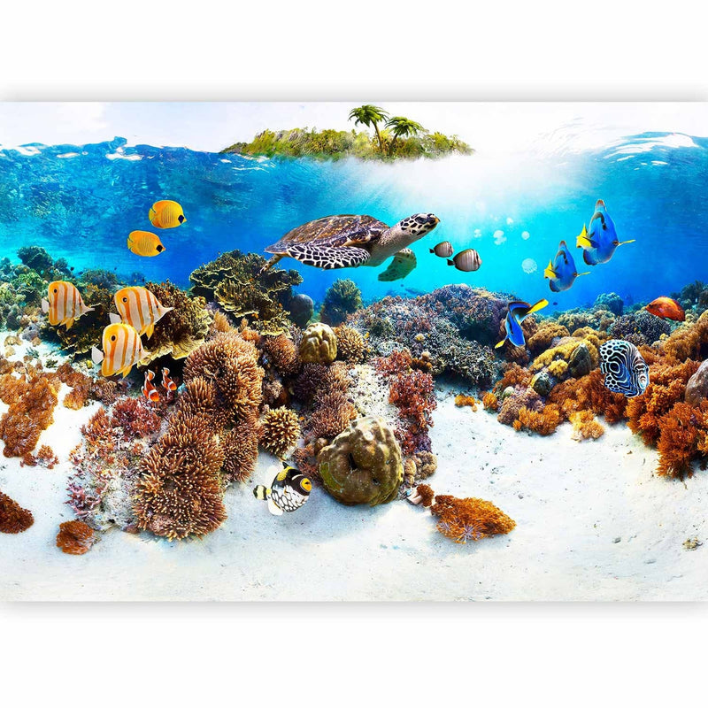 Фотообои - Коралловый риф и подводной мир, 59998 G-Art
