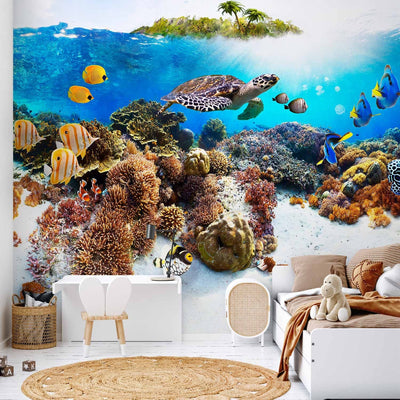 Wall Murals - coral reef and underwater world, 59998 G-art