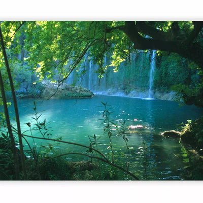 Wall Murals with one of Antalya's waterfalls - a better choice G-ART