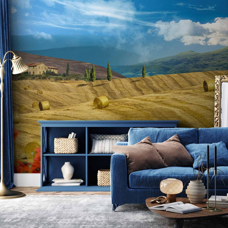 Wall Murals - Rural landscape with trees on the Golden Meadow, 59852 G-Art