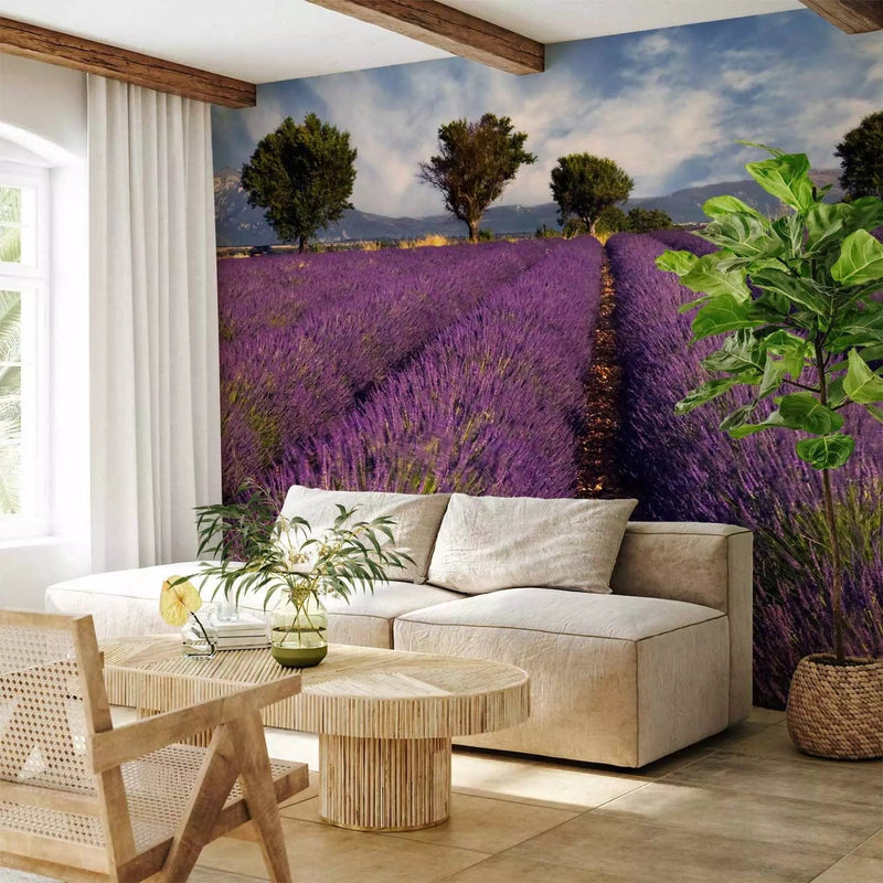 Wall Murals - Natural landscape - rural purple lavender field G-ART