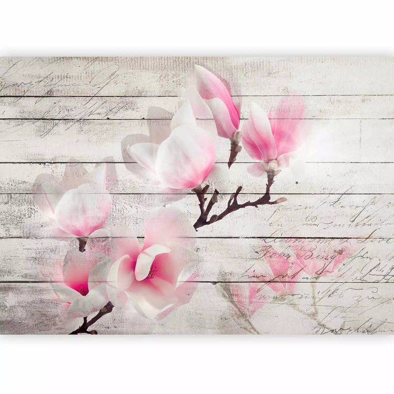 Wall Murals - Pink magnolia flowers on the wood surface, 62468g-art