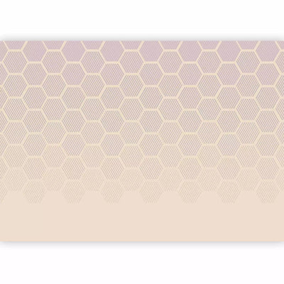 Wall Murals - pastel glass motif with hexagonal shapes, 161069 G-ART