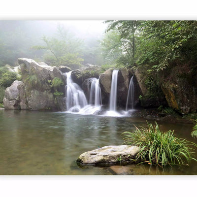 Wall Murals - waterfalls - landscape with forest - different types of G-ART