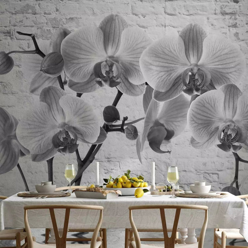 Wall Murals - Black and white composition with orchids - 62017G-ART