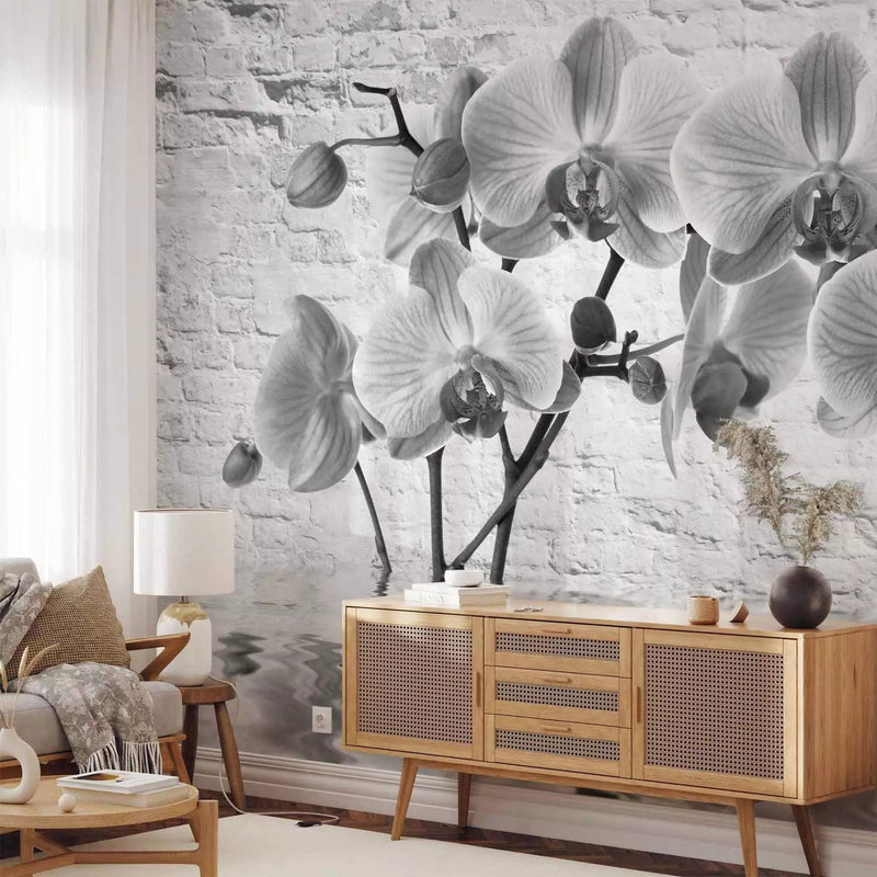 Wall Murals - Black and white composition with orchids - 62017G-ART