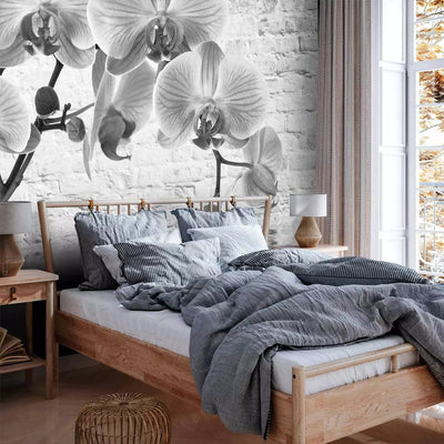 Wall Murals - Black and white composition with orchids - 62017G-ART