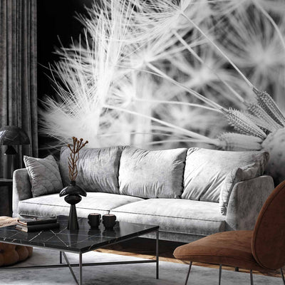 Wall Murals - Black and white dandelion close-up, 60147 G-art