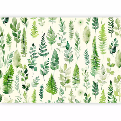 Wall Murals - Forest ferns, 161116 - various sizes G-ART