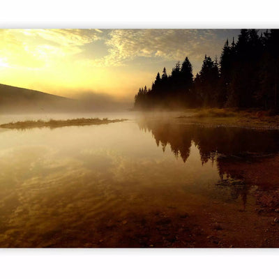 Wall Murals with a peaceful view of nature - Forest and lake - 60253 G-ART