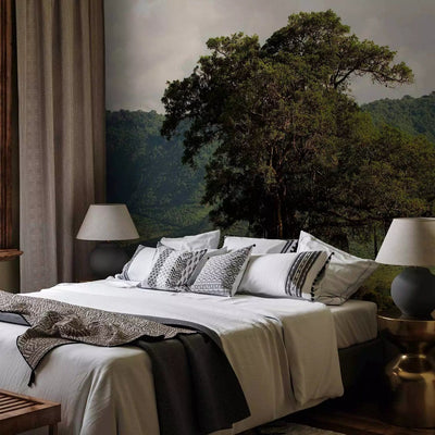 Wall Murals with green nature - in the Ngorongoro Crater, 59947 G-ART