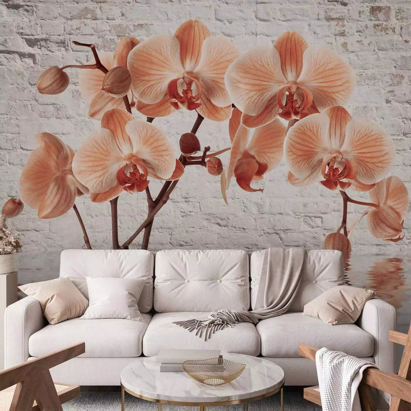 Wall Murals - Orange orchid on gray brick wall background, 62018 G-ART