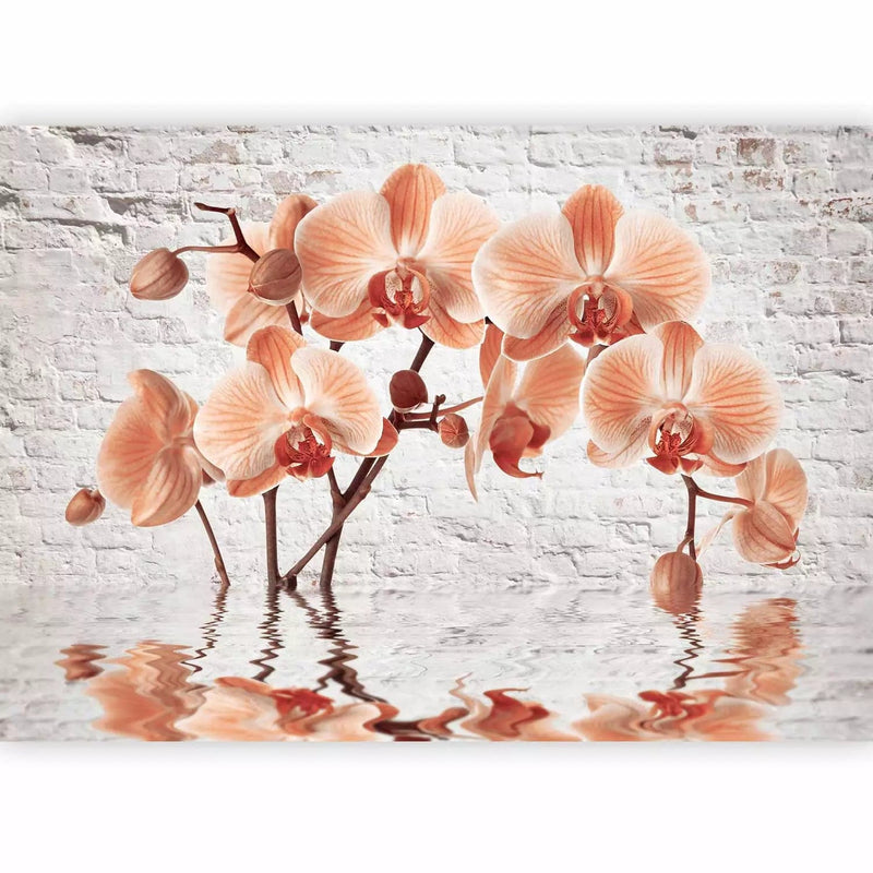 Wall Murals - Orange orchid on gray brick wall background, 62018 G-ART