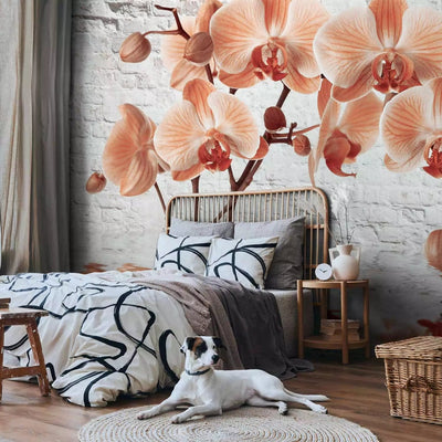 Wall Murals - Orange orchid on gray brick wall background, 62018 G-ART