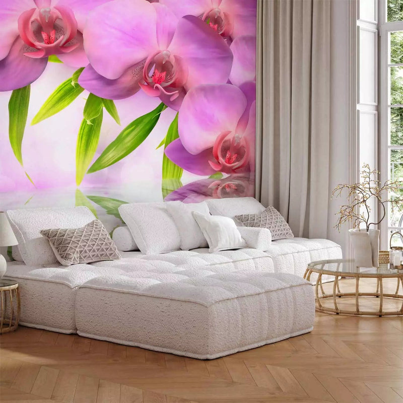 Ffototapets su gražiomis rožinėmis orchidėjomis ir nostalgiška ramybė, 60126 G-Art