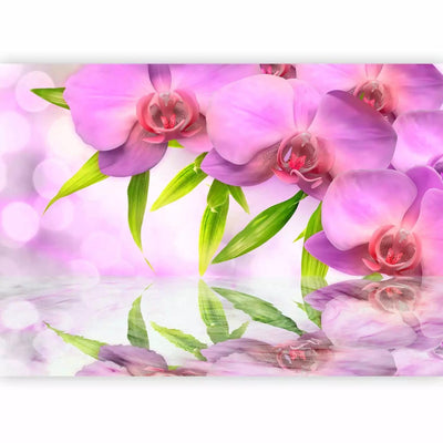 Ffototapets with beautiful pink orchids and nostalgic peace, 60126 g-art