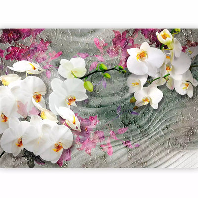 Wall Murals - orchids on wavy background - 88907 - better price G-ART