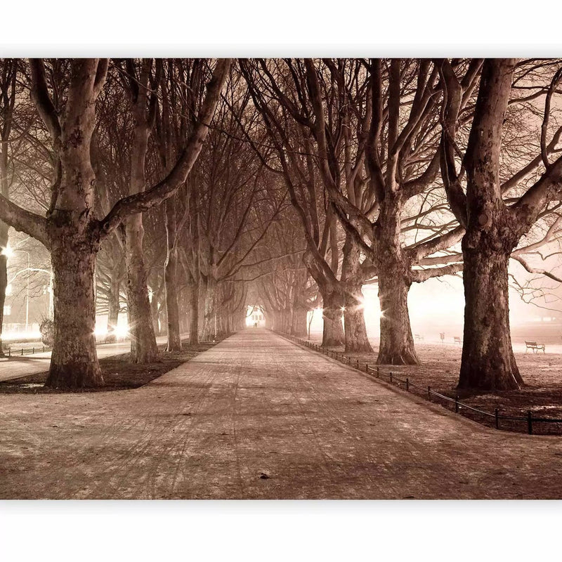 Park alley - landscape with trees surrounding the road in sepia tones G-ART