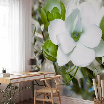 Wall Murals - Beautiful Magnolia Bouquet in shades of green, 89803G-ART