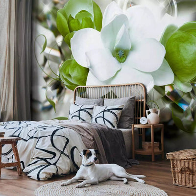 Wall Murals - Beautiful Magnolia Bouquet in shades of green, 89803G-ART