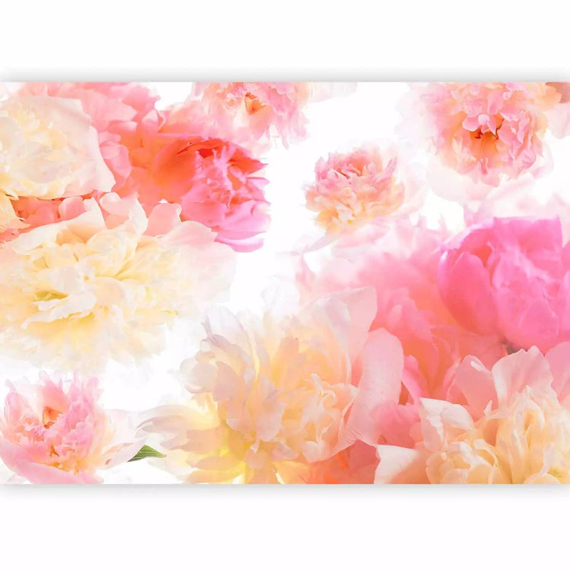 Wall Murals - Pastel Peonies - A homogeneous flower motif in gentle colors G -art