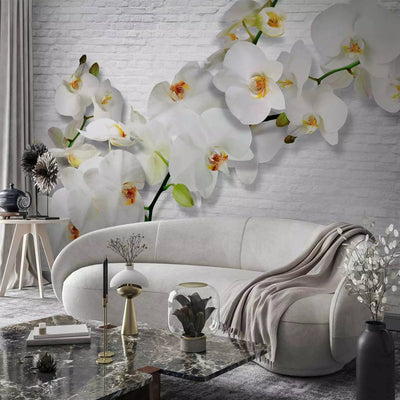 Wall Murals - Beautiful orchids and white brick wall., 61871g-art