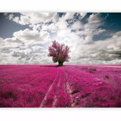 Wall Murals with a lonely pink tree in a meadow landscape - chooseG-ART