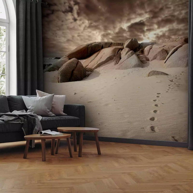 Wall Murals - Beach in sepia tones - 60284 - choose size G-ART