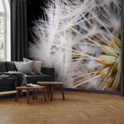 Wall Murals - Fluffy dandelion flower on a black background in close-up, 60151 g-art