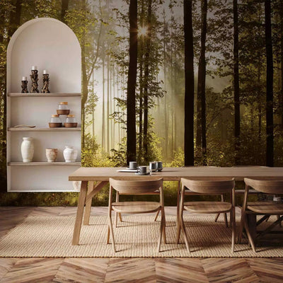 Beautiful Wall Murals with morning mist in the forest - Morning sunlight, 97488 G-ART