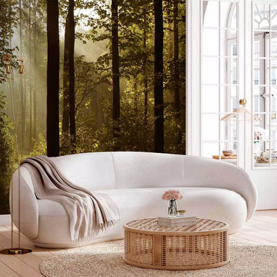 Beautiful Wall Murals with morning mist in the forest - Morning sunlight, 97488 G-ART