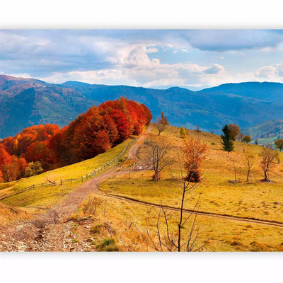 Wall Murals - Carpathian landscape - Autumn mountain landscape with trees and road G-ART